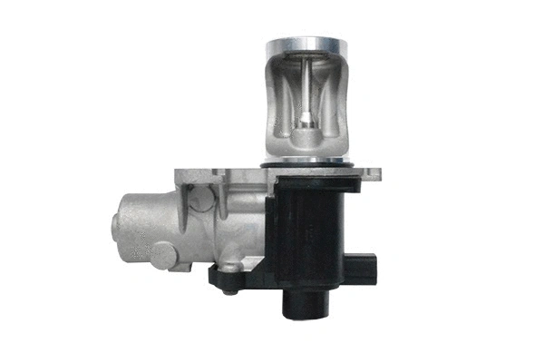 EGR Valve (74207)
