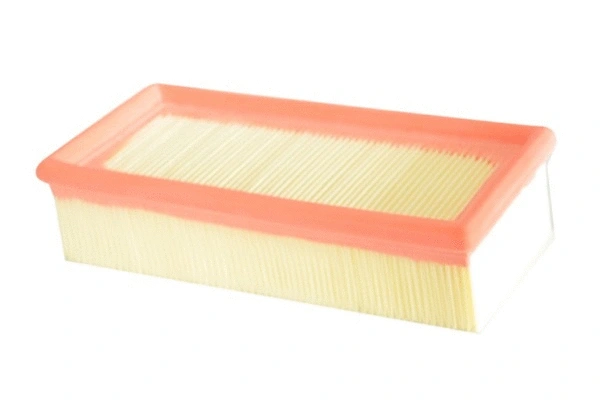 Air Filter (70257)