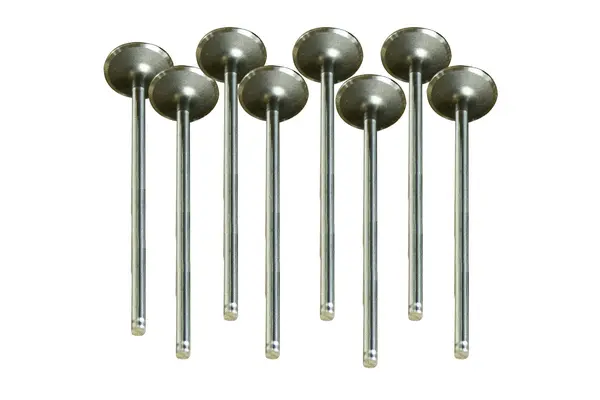 Exhaust Valve (30470)