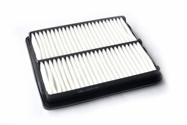 Air Filter (71679)