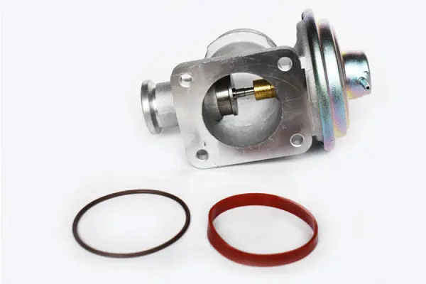 EGR Valve (73339)