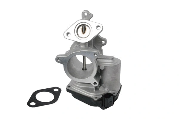 EGR Valve (74189)