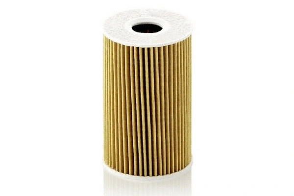 Oil Filter (70045)