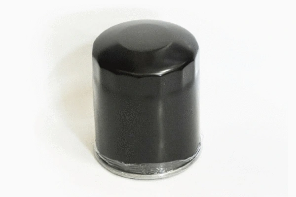 Fuel Filter (70237)