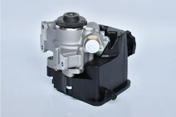 Hydraulic Pump, steering (73501)
