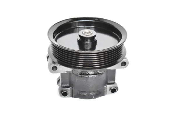 Hydraulic Pump, steering (73462)