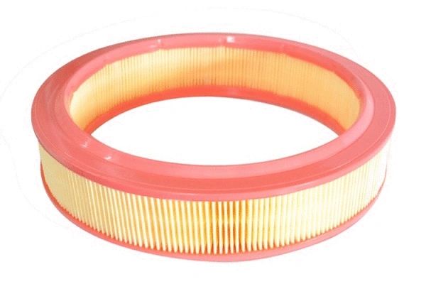 Air Filter (70273)