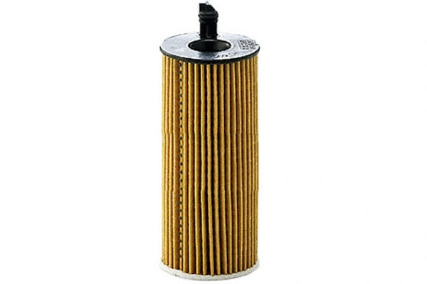 Oil Filter (70165)