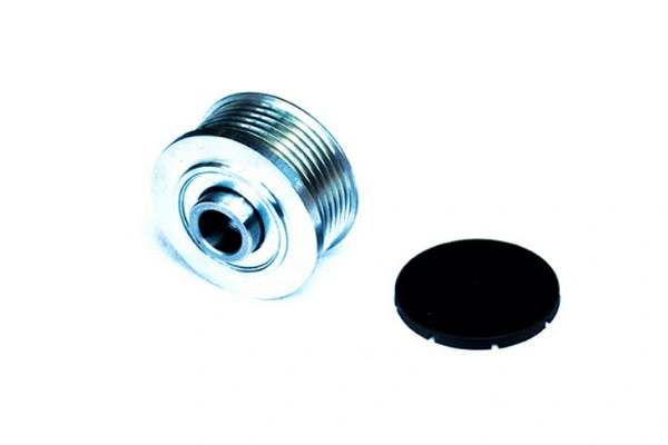 Alternator Freewheel Clutch (55200)