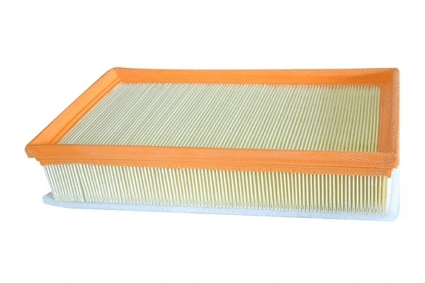 Air Filter (70303)