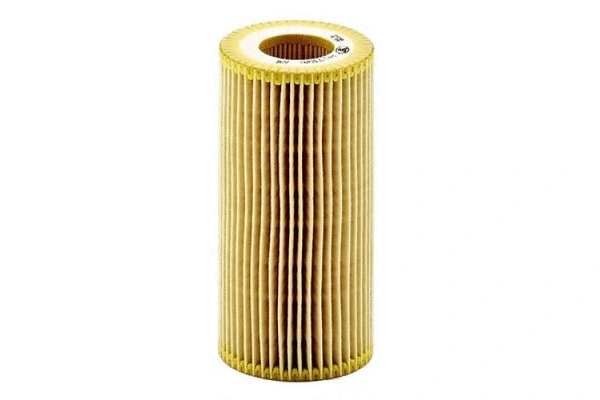 Oil Filter (80914)