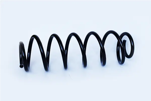 Suspension Spring (73749)