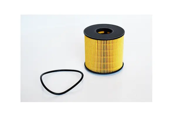 Oil Filter (77107)