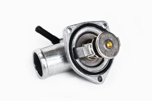 Thermostat, coolant (73691)