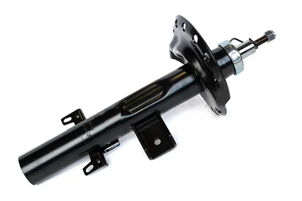 Shock Absorber (75729)