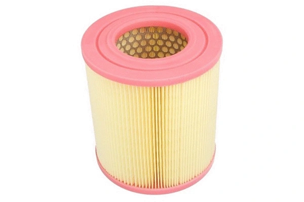 Air Filter (70201)