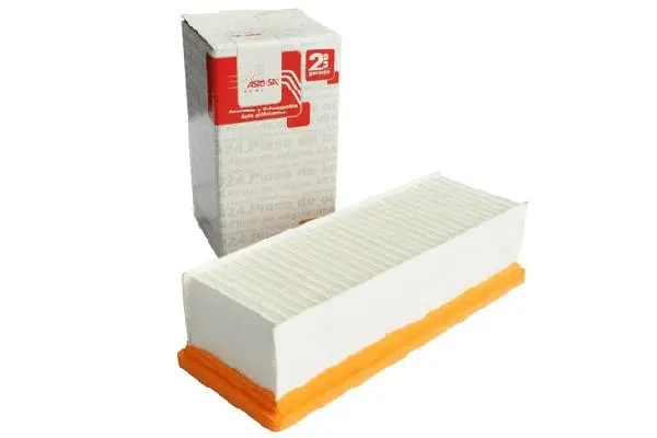 Air Filter (30882)