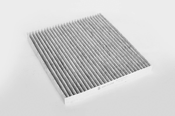 Filter, cabin air (55741)