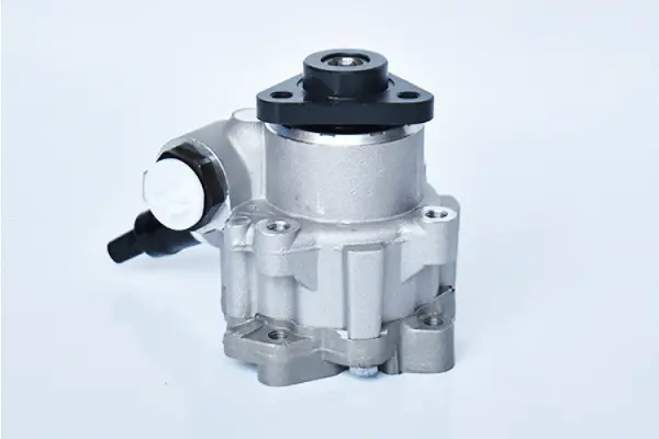 Hydraulic Pump, steering (73479)