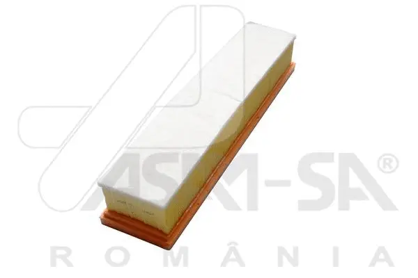 Air Filter (30517)