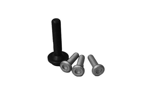 Axle Bolt, drive shaft (102341)
