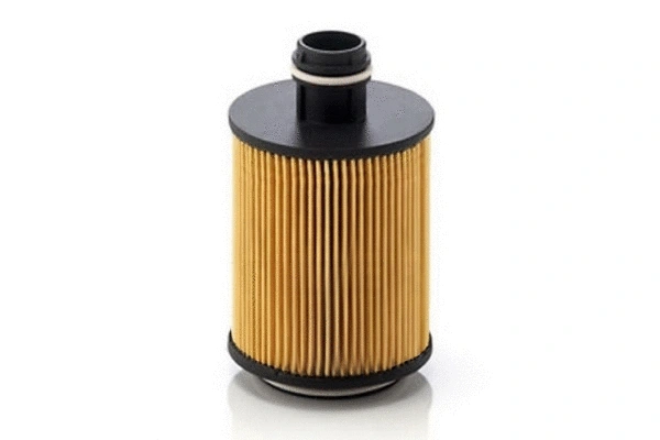Oil Filter (70144)