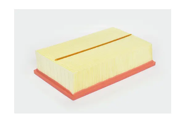 Air Filter (77658)