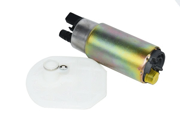 Fuel Pump (74213)