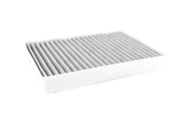 Filter, cabin air (71813)