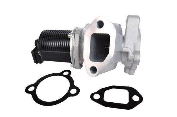 EGR Valve (74185)