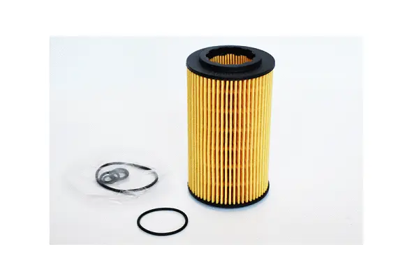 Oil Filter (77110)
