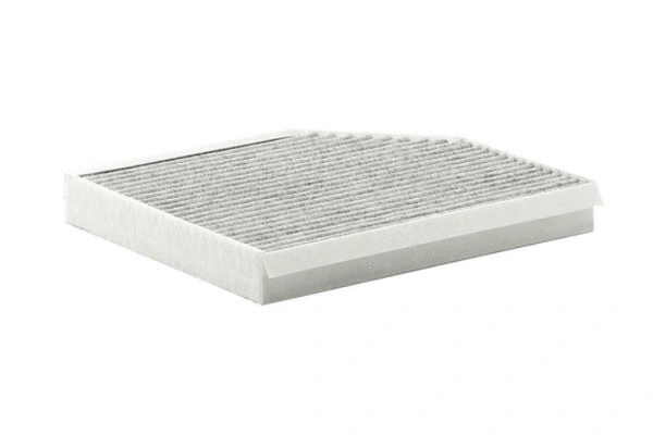 Filter, cabin air (71900)