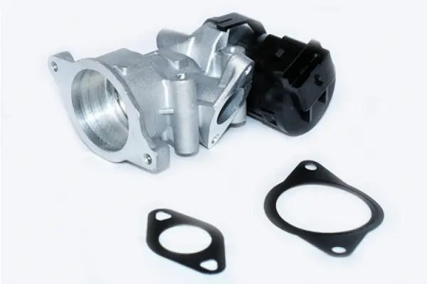 EGR Valve (73332)