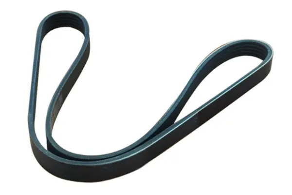 V-Ribbed Belt (55992)