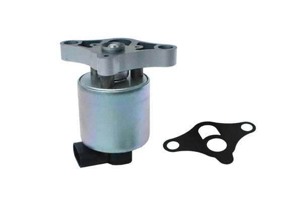 EGR Valve (74122)