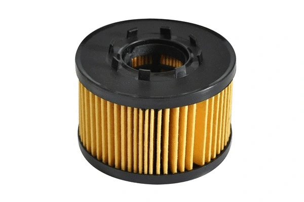 Oil Filter (30557)