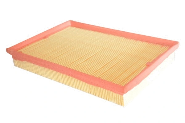 Air Filter (70334)