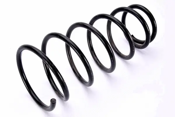 Suspension Spring (75983)