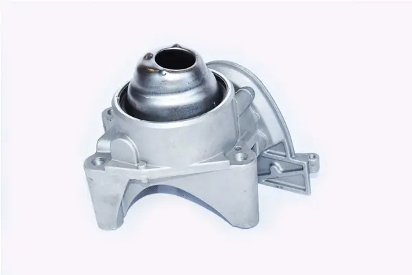 Oil Pump (79495)