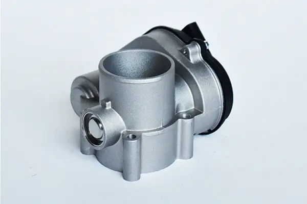 Throttle Body (75336)