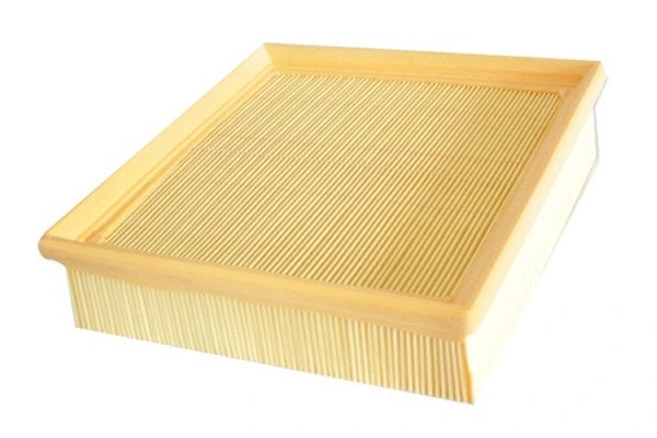 Air Filter (70289)