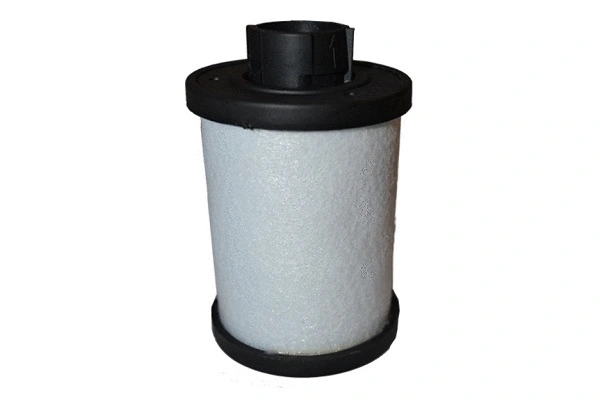 Fuel Filter (70231)