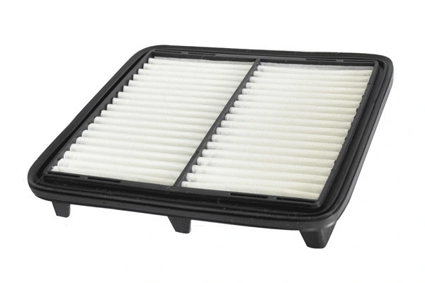 Air Filter (30516)
