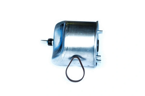Fuel Filter (71976)