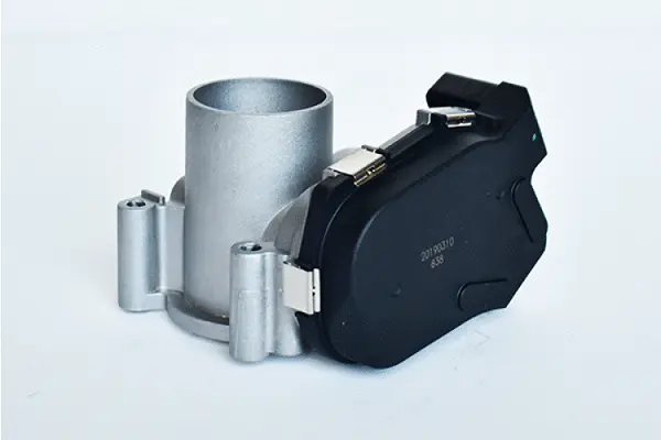 Throttle Body (75393)