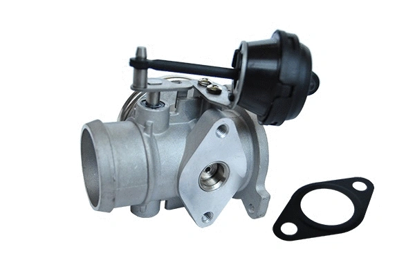 EGR Valve (74175)
