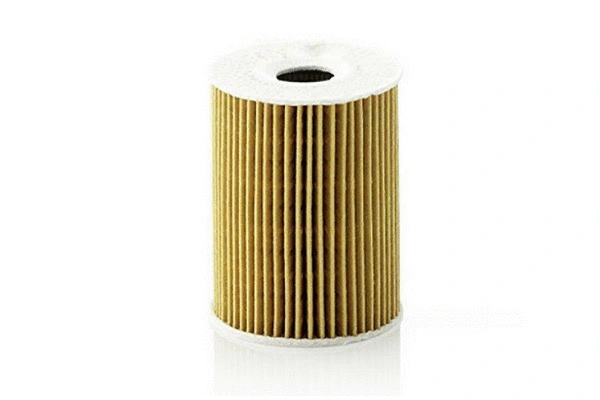 Oil Filter (71971)