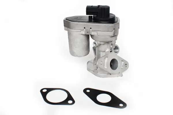 EGR Valve (73326)