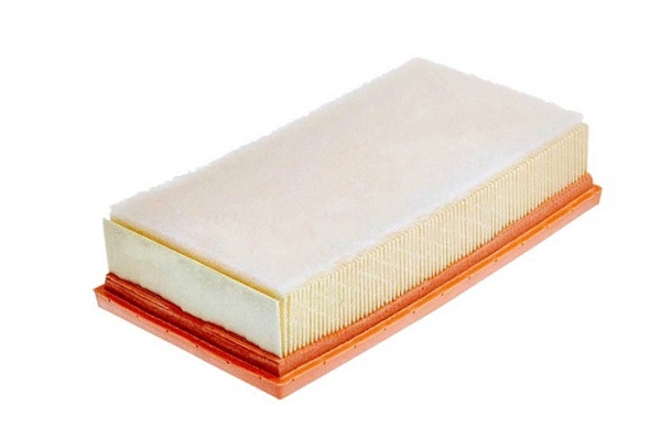 Air Filter (70219)