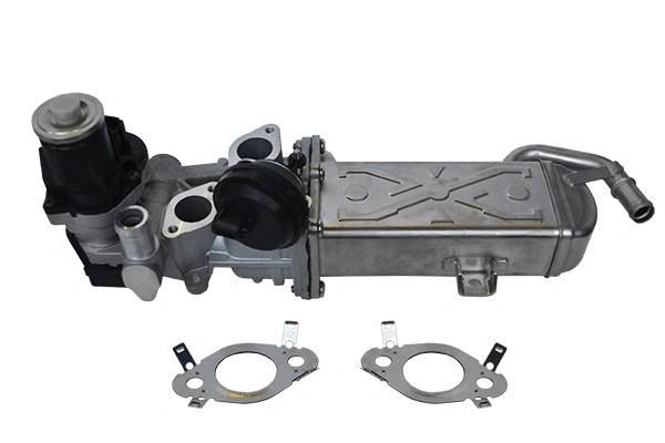 EGR Valve (74111)